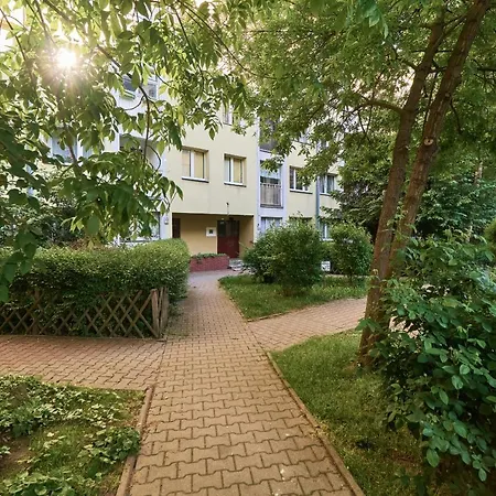 Center By Renters *